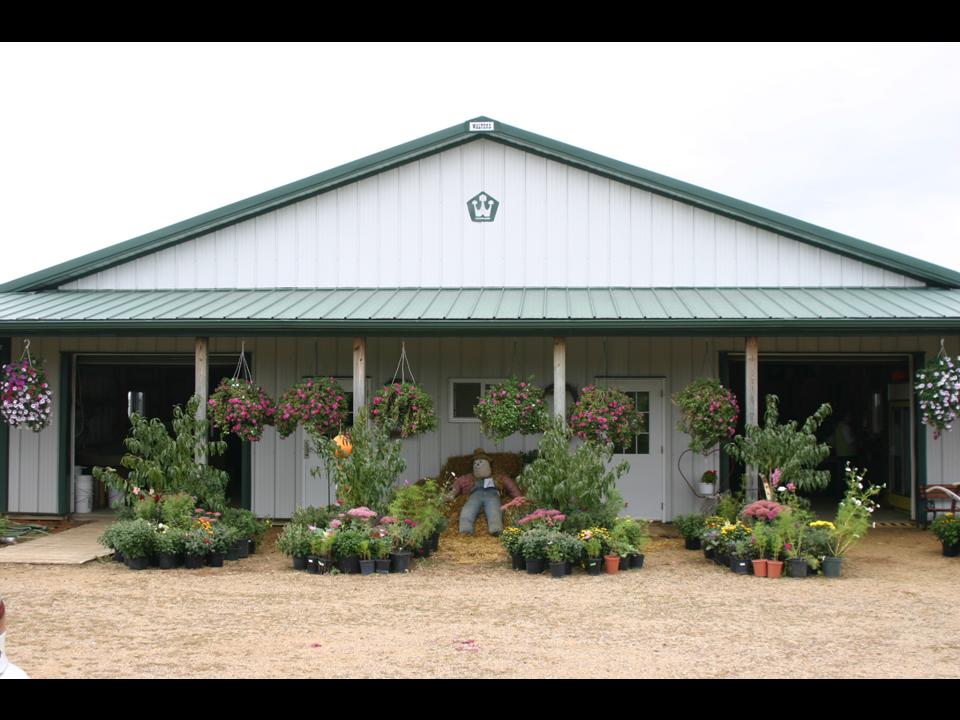 002  shed front